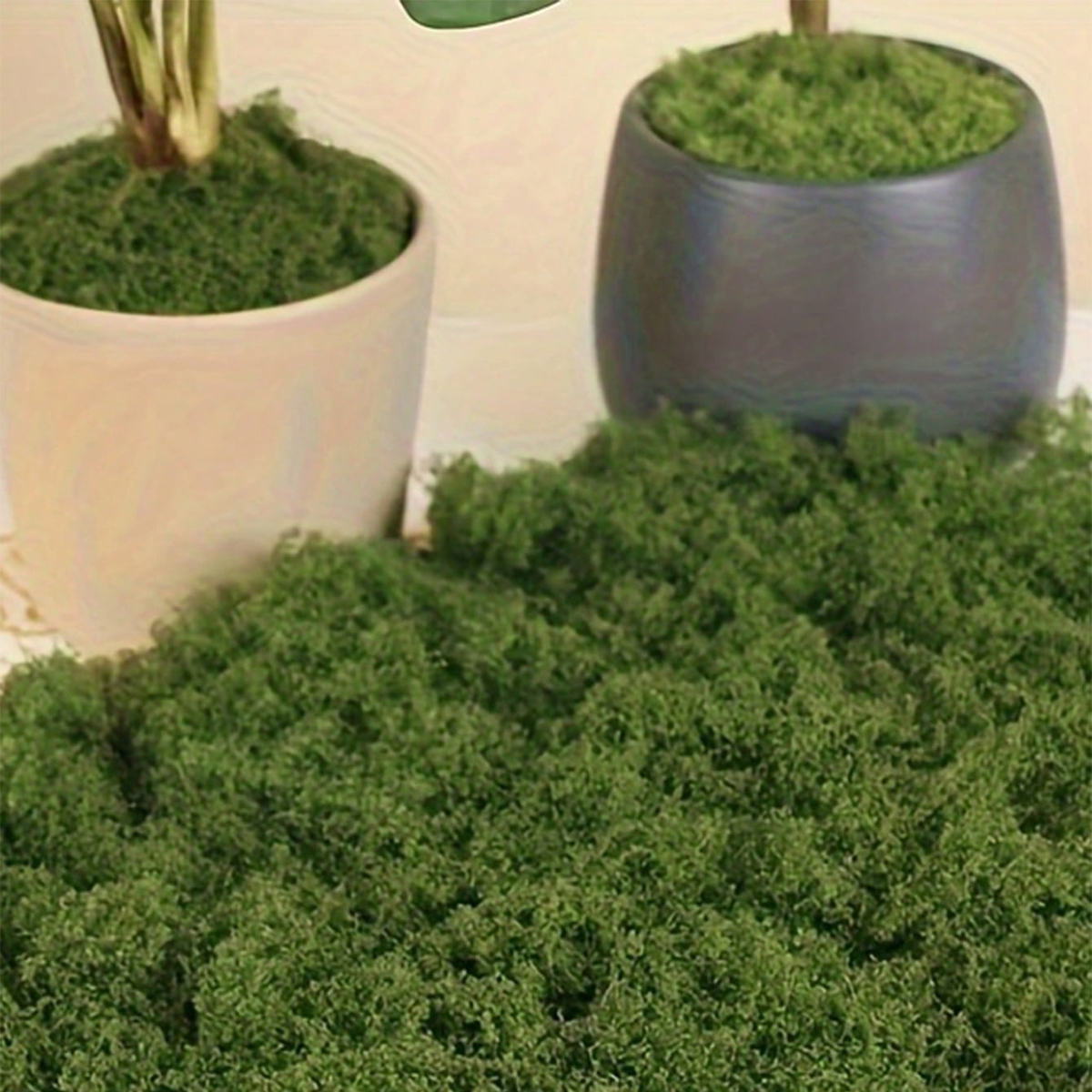 250g Artificial Moss Decoratio - Bonsai Garden Landscape Design 리뷰 및 가격