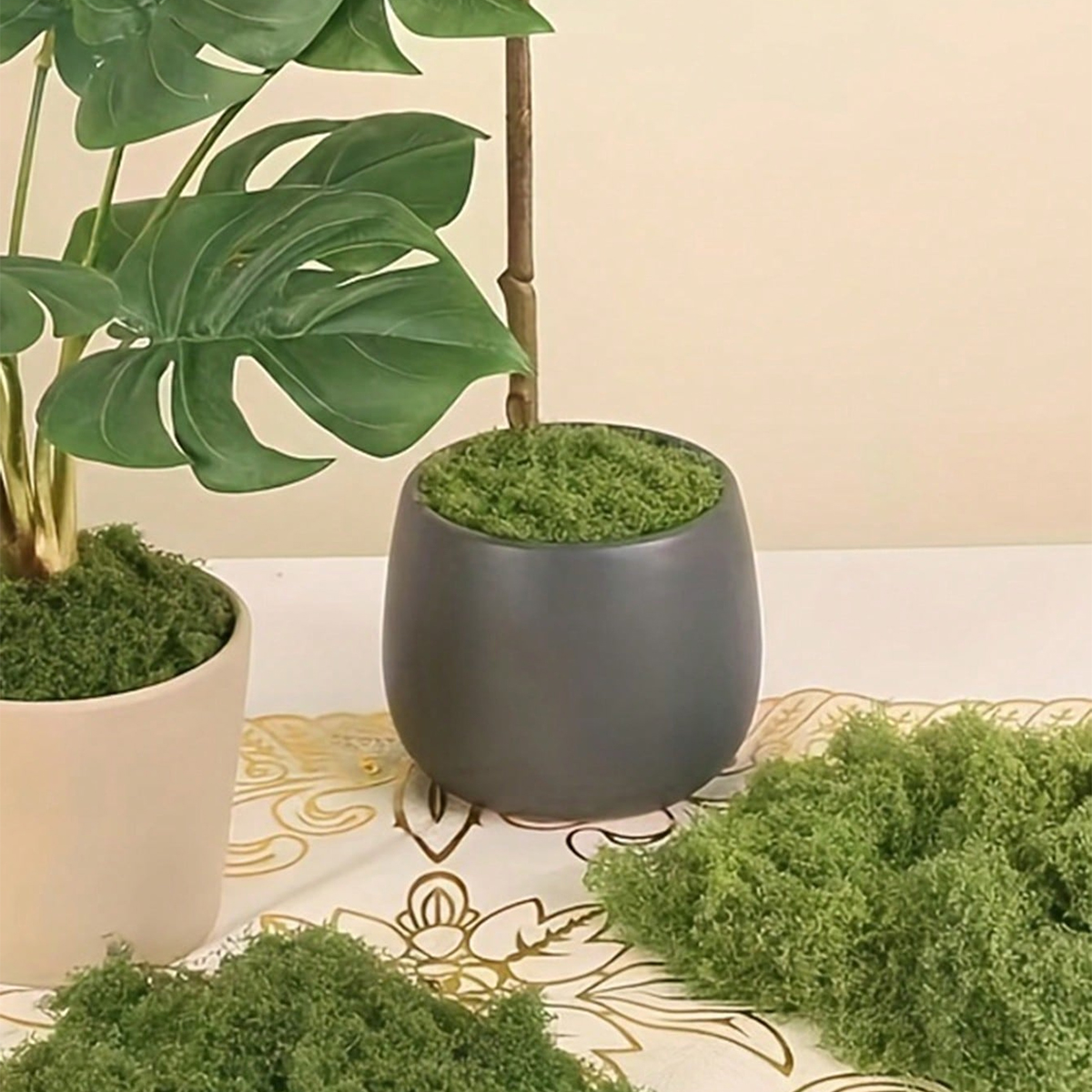 250g Artificial Moss Decoratio - Bonsai Garden Landscape Design 리뷰 및 가격