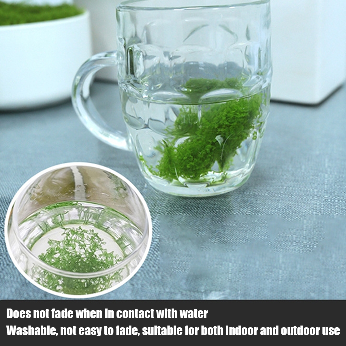 250g Artificial Moss Decoratio - Bonsai Garden Landscape Design 리뷰 및 가격