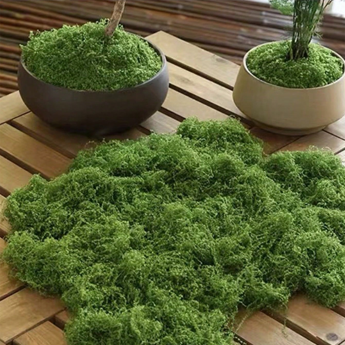 250g Artificial Moss Decoratio - Bonsai Garden Landscape Design 리뷰 및 가격