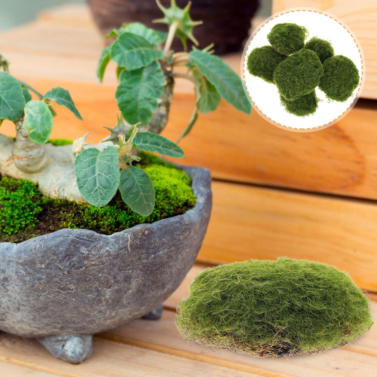 6Pcs Artificial Mossy Stone Se - Bonsai Garden Landscape Design 리뷰 및 가격