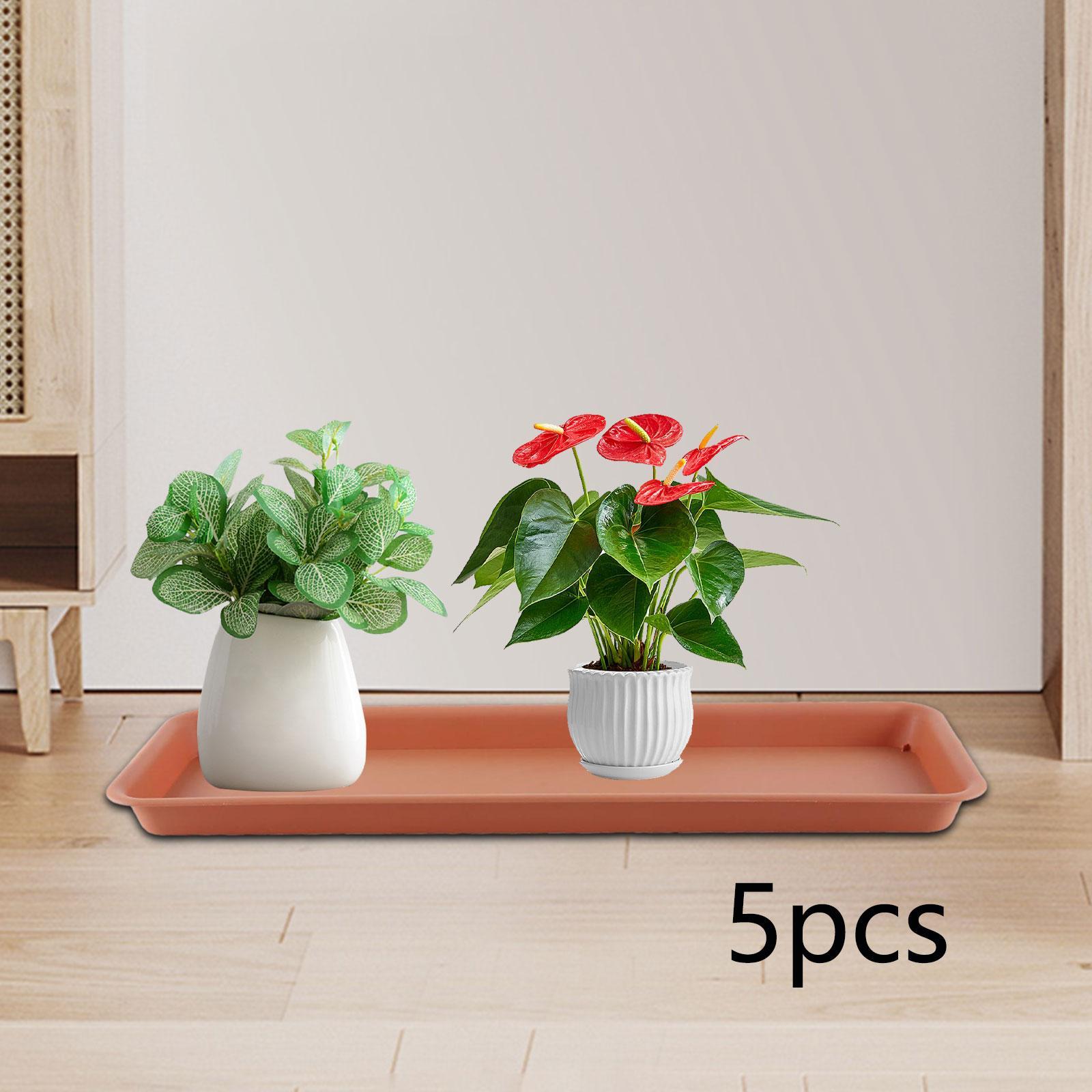 High Flower Pot for the Terrac - Drip Tray Saucer 리뷰 및 가격