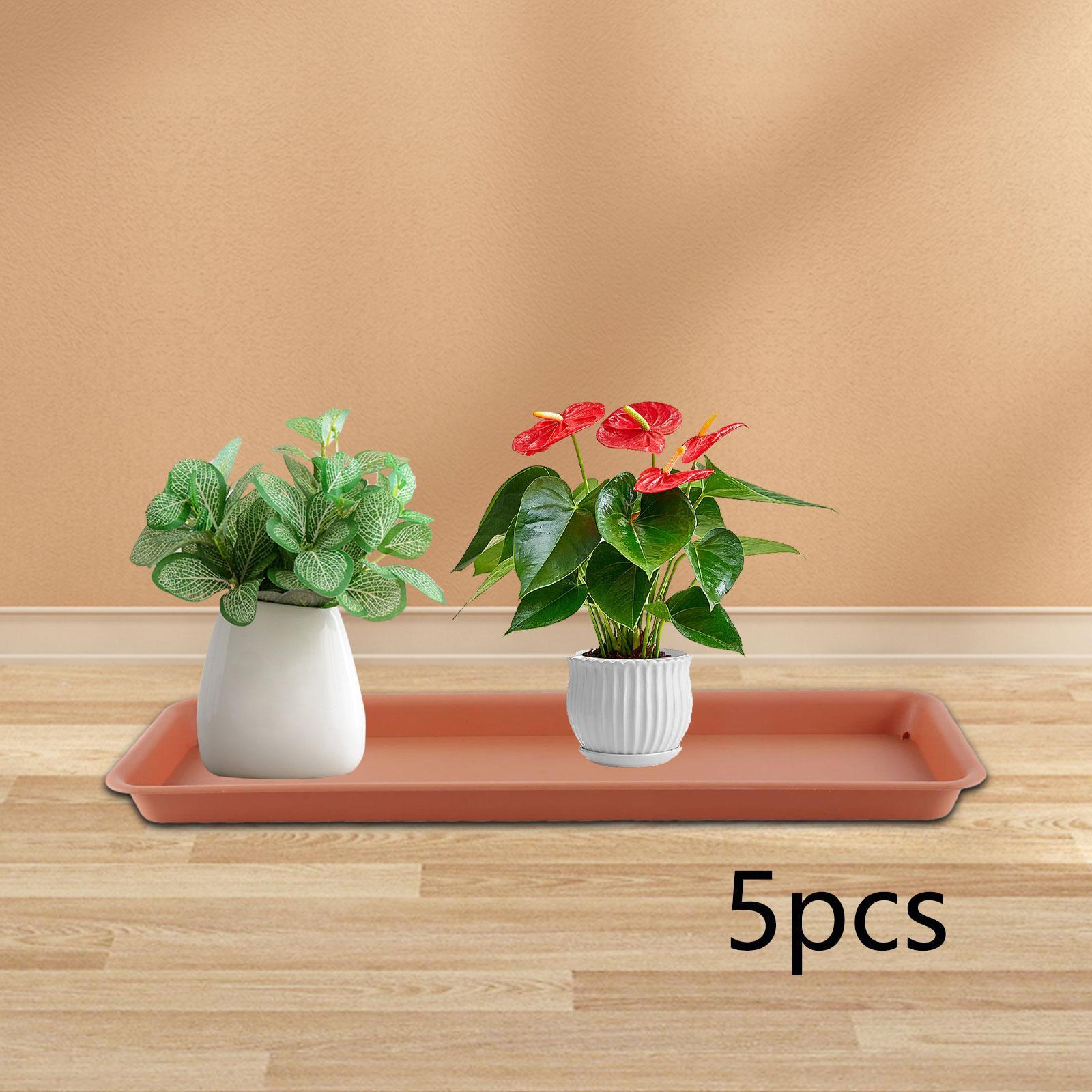 High Flower Pot for the Terrac - Drip Tray Saucer 리뷰 및 가격