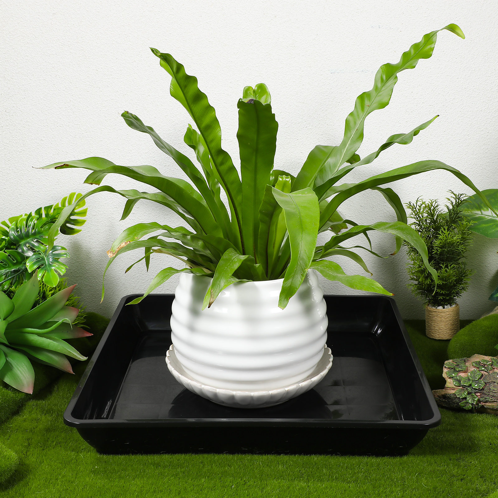 2pcs Flowerpot Saucer Plant Tr - Drip Tray Saucer 리뷰 및 가격