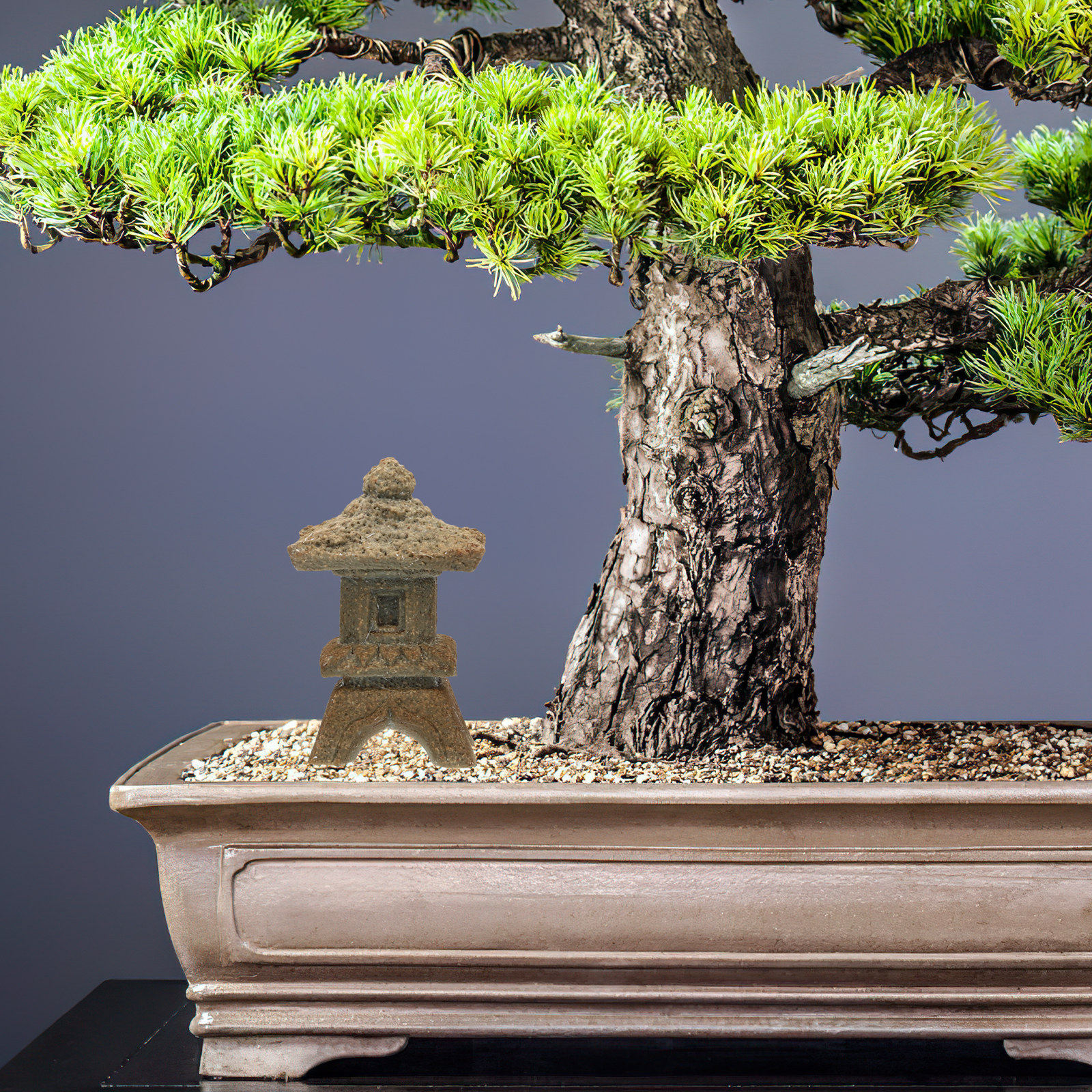 Mini Stone Pagoda Statue Decor - Bonsai Garden Landscape Design 리뷰 및 가격