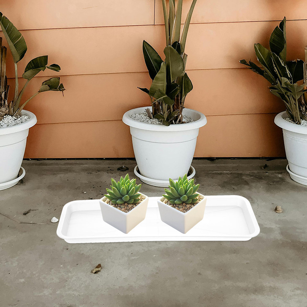 5Pcs Rectangular Shallow Plant - Drip Tray Saucer 리뷰 및 가격