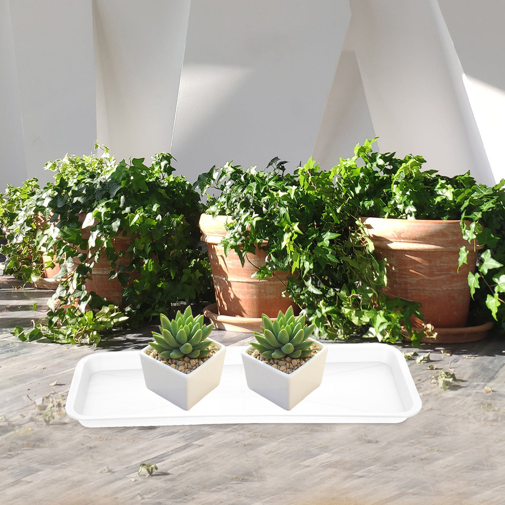 5Pcs Rectangular Shallow Plant - Drip Tray Saucer 리뷰 및 가격