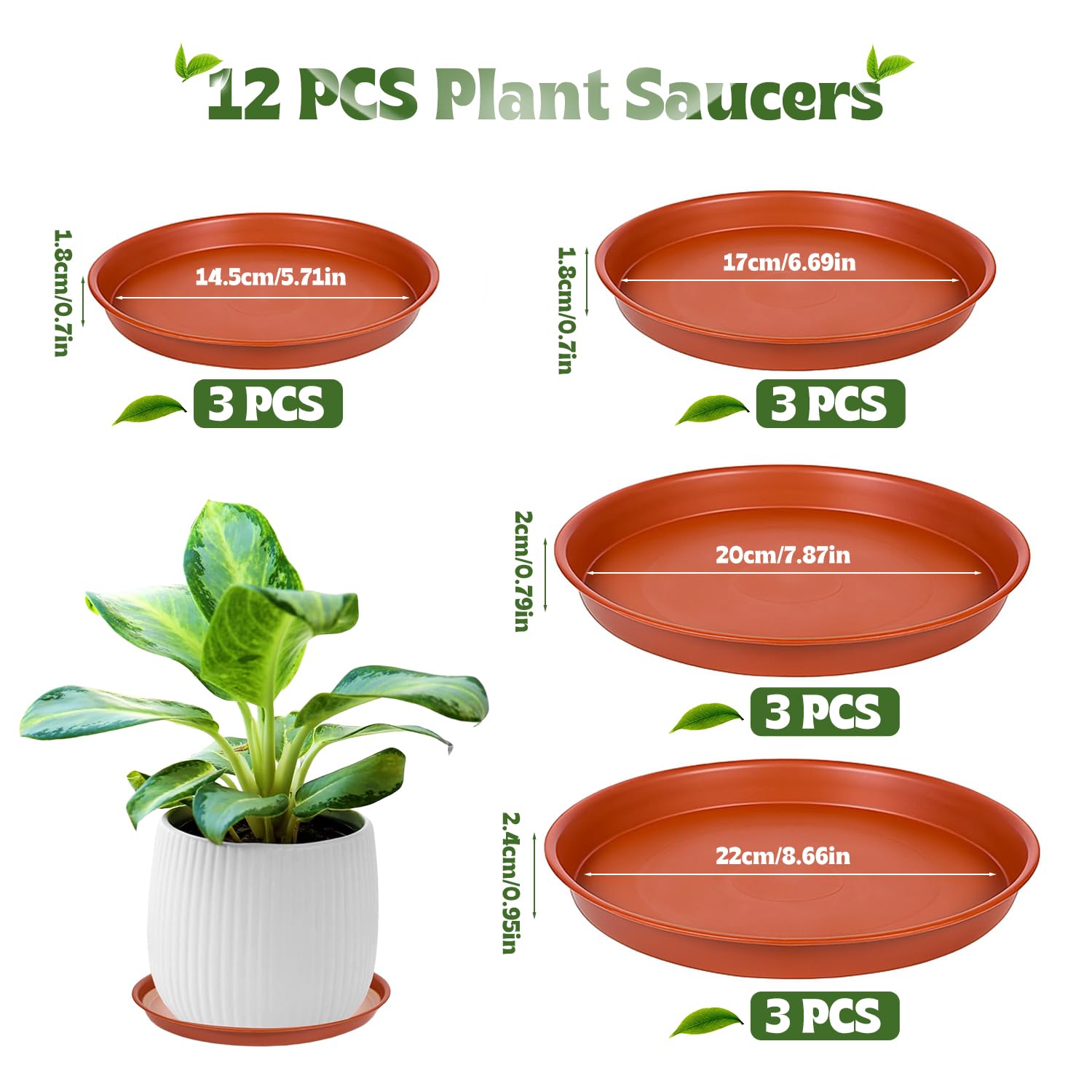 12 Pack Plant Pot Saucers – 4  - Drip Tray Saucer 리뷰 및 가격