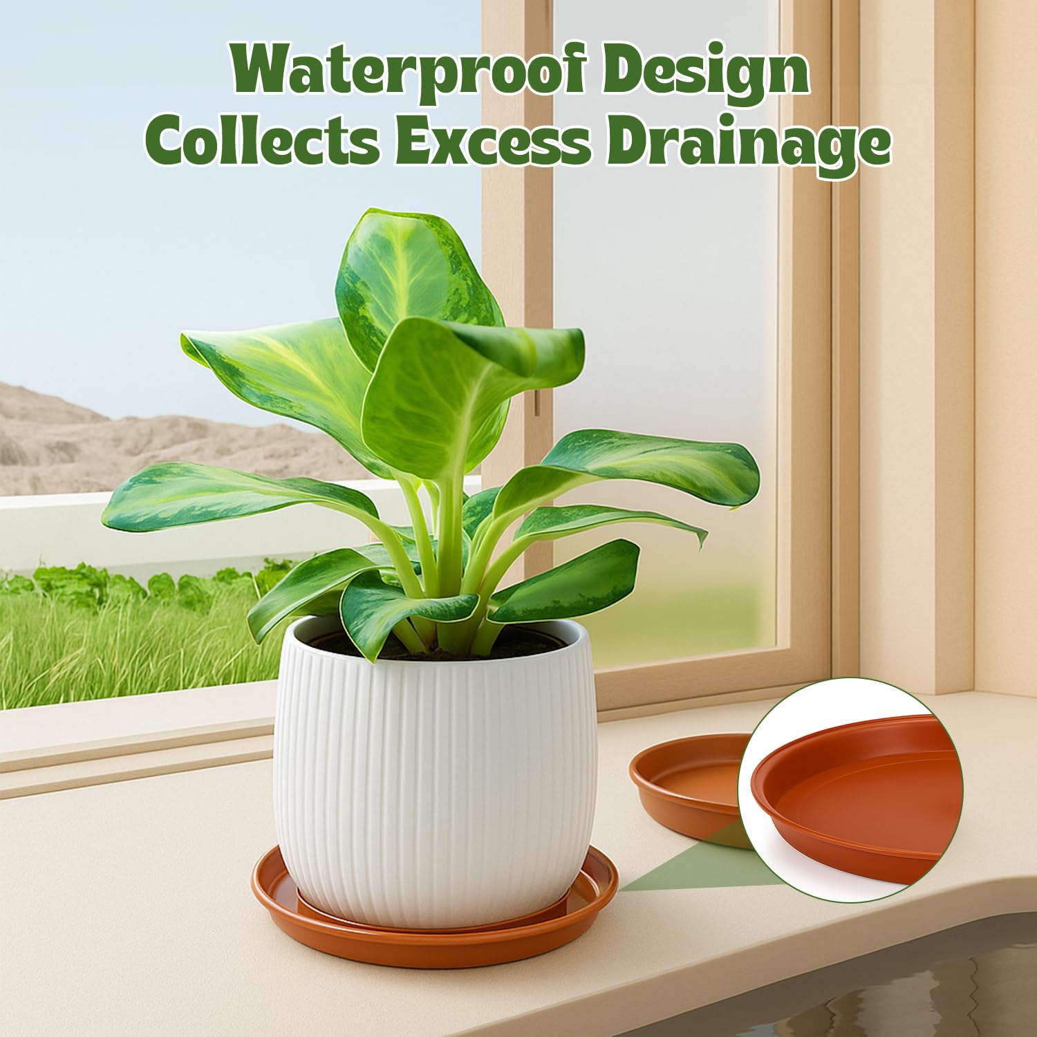 12 Pack Plant Pot Saucers – 4  - Drip Tray Saucer 리뷰 및 가격