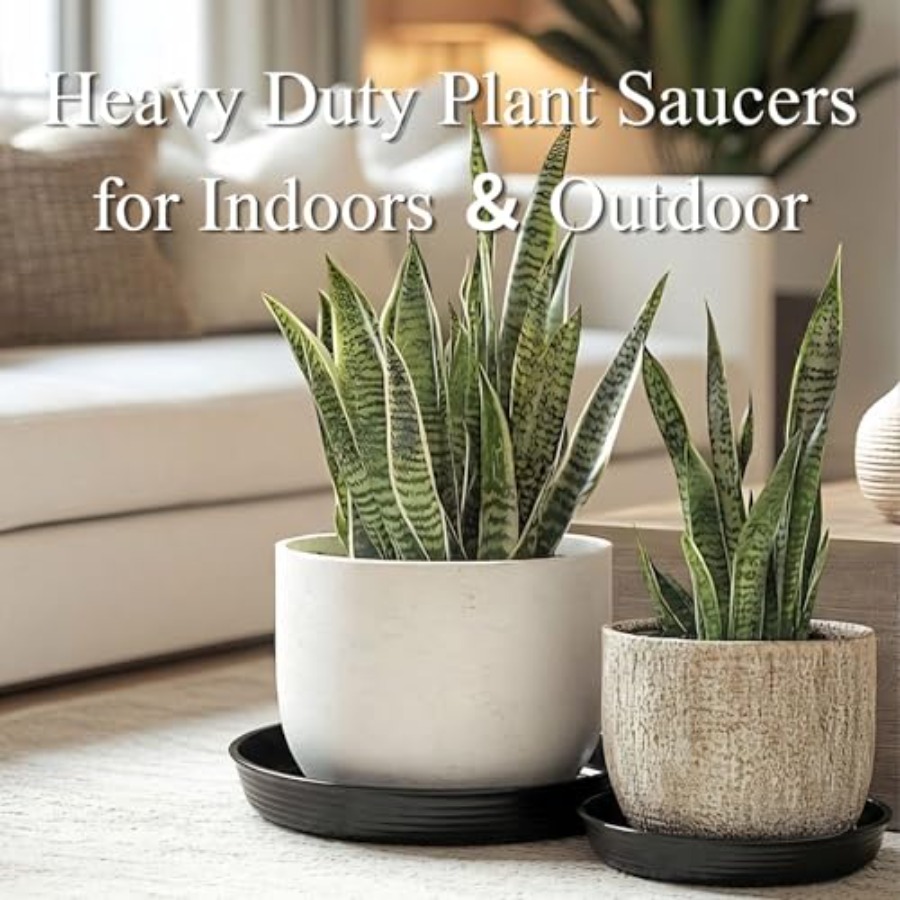 10 Pack Plant Drip Trays, Heav - Drip Tray Saucer 리뷰 및 가격