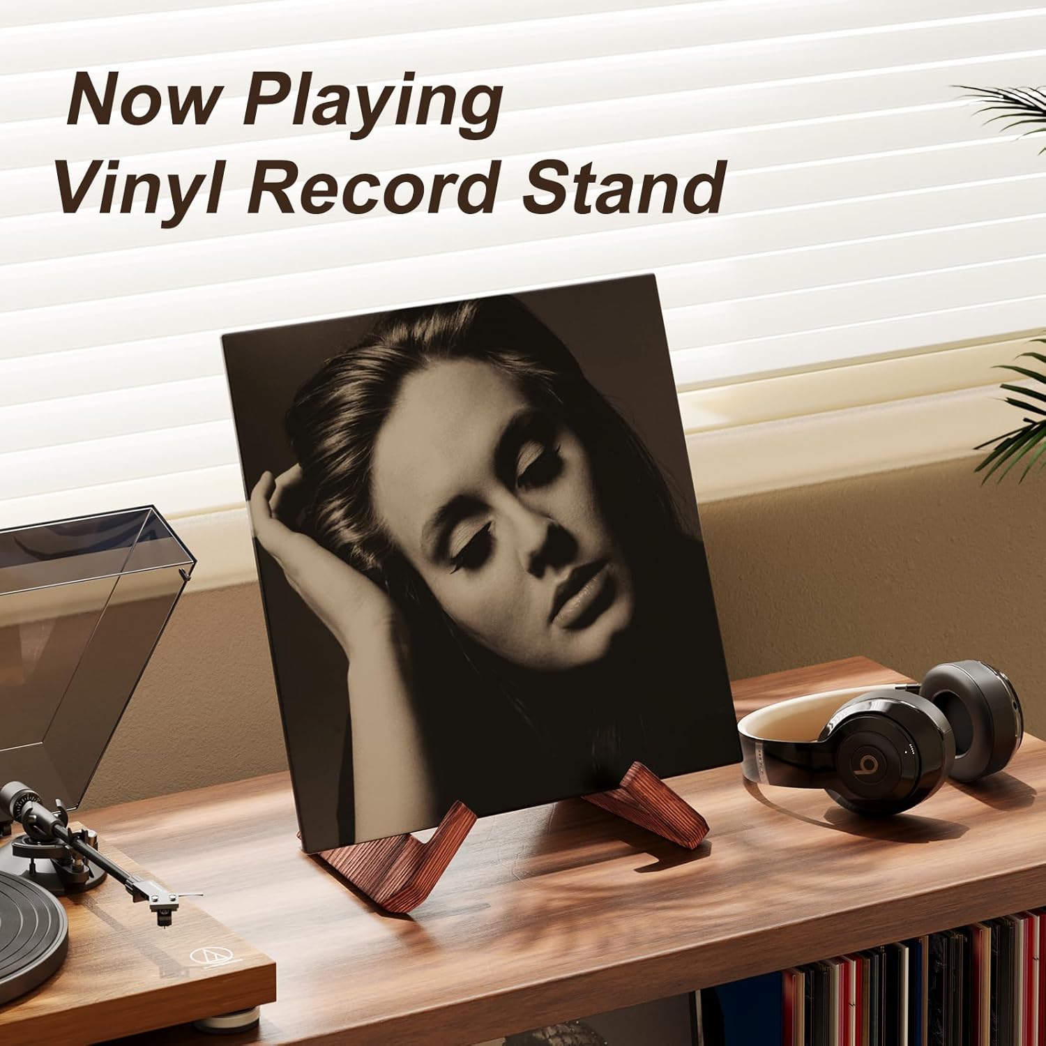 Single Wood Vinyl Record Stand - Display Stand Wood 리뷰 및 가격