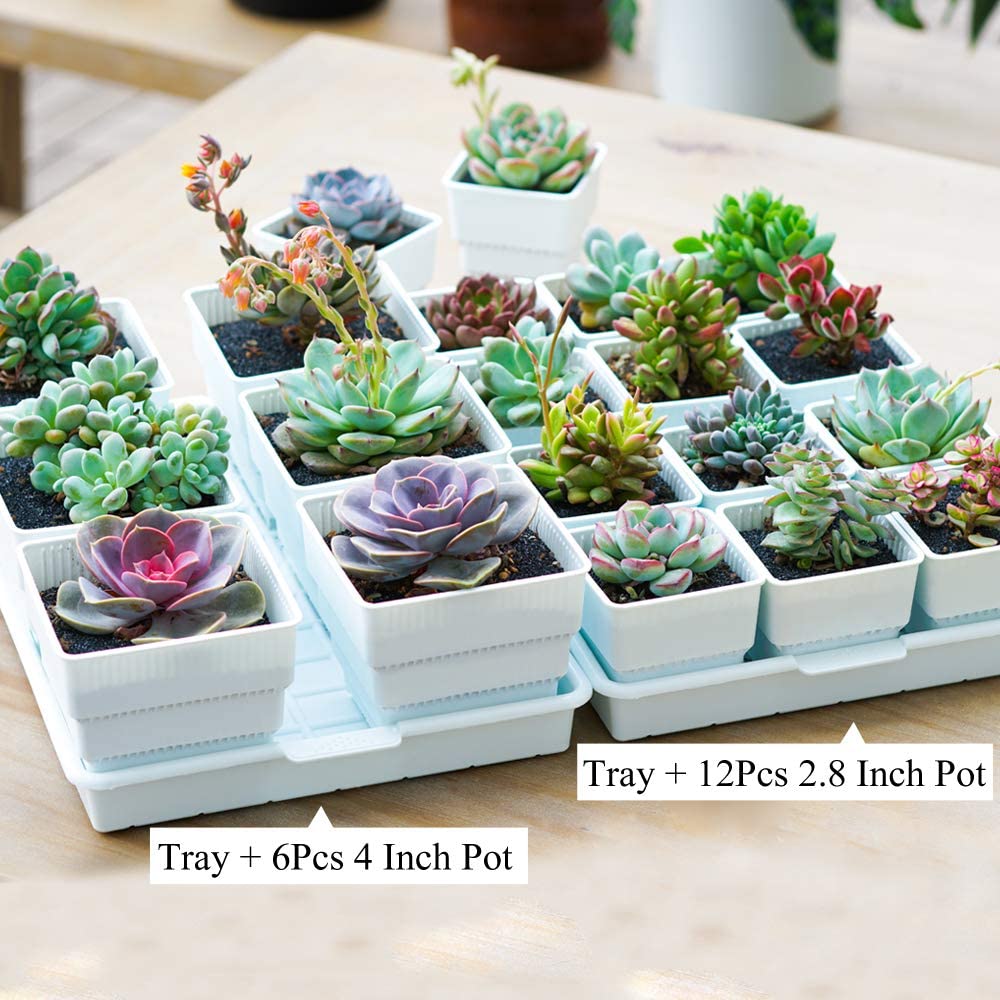 Meshpot Square Plastic Basin T - Drip Tray Saucer 리뷰 및 가격