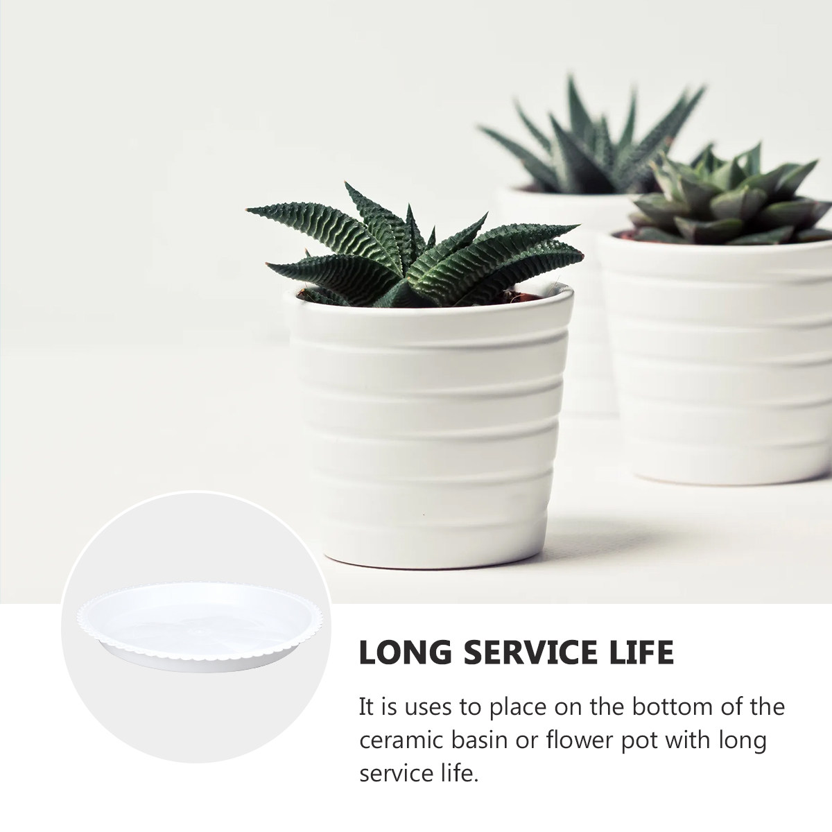 5Pcs Round White Plant Saucers - Drip Tray Saucer 리뷰 및 가격