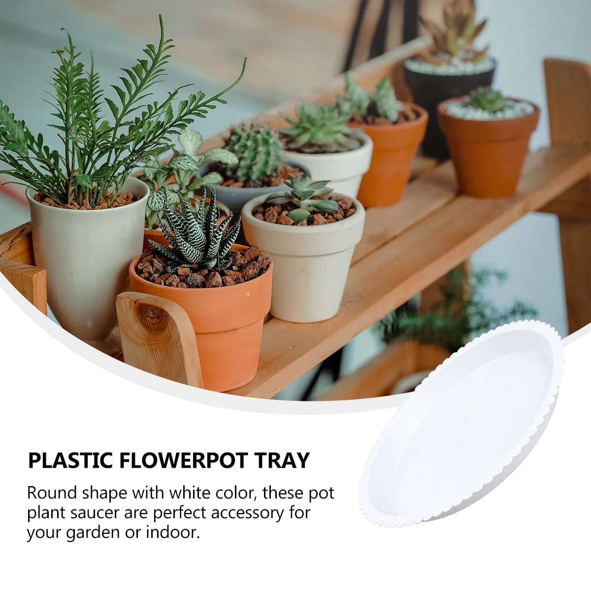 5Pcs Round White Plant Saucers - Drip Tray Saucer 리뷰 및 가격