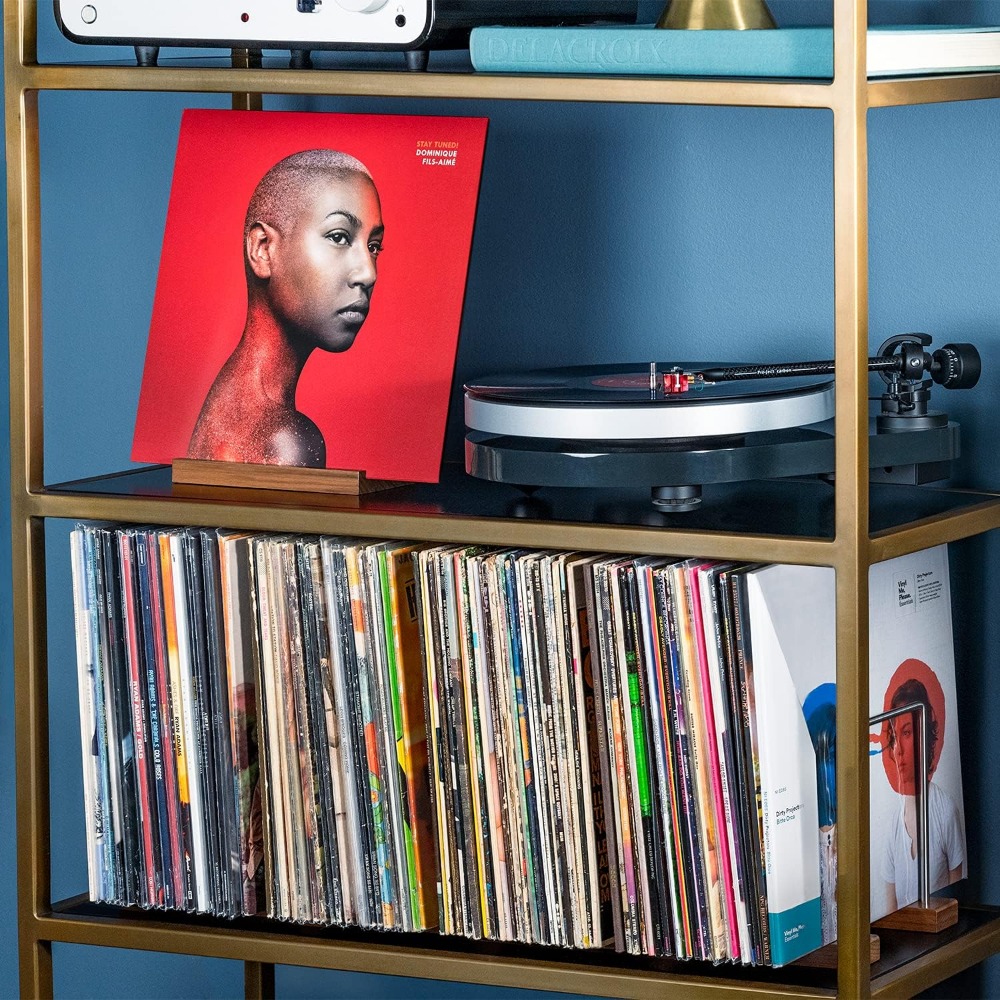Vinyl Record Storage Holder fo - Display Stand Wood 리뷰 및 가격