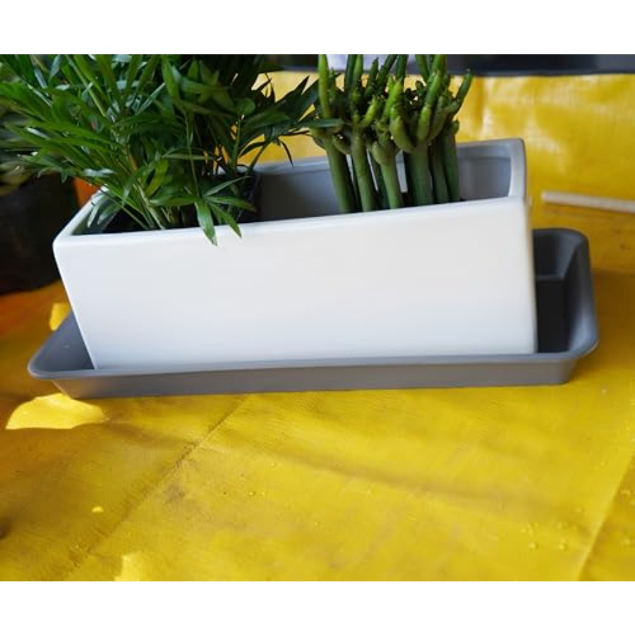 2 Pack of Plastic Plant Tray S - Drip Tray Saucer 리뷰 및 가격
