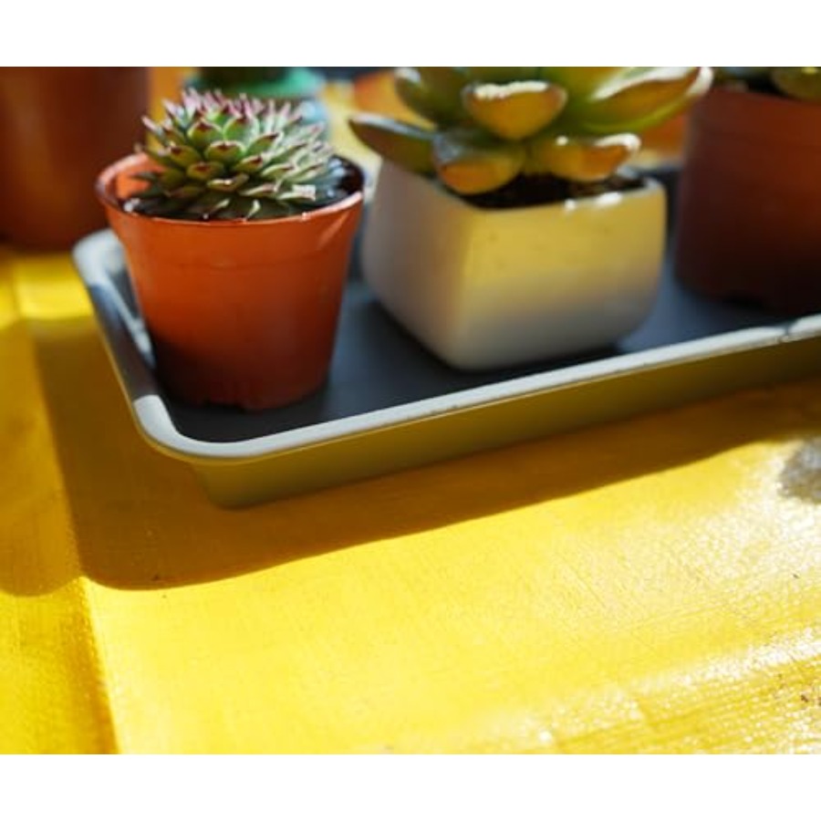 2 Pack of Plastic Plant Tray S - Drip Tray Saucer 리뷰 및 가격