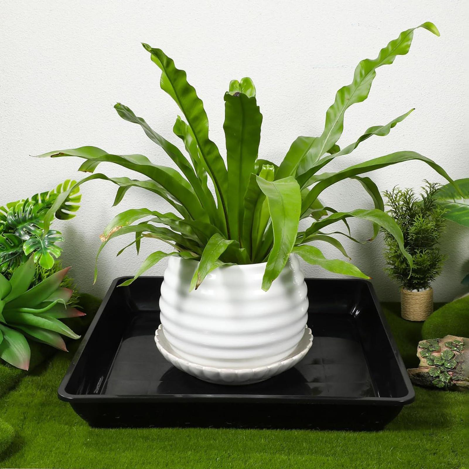 2 Pcs Flower Pot Base Thickene - Drip Tray Saucer 리뷰 및 가격