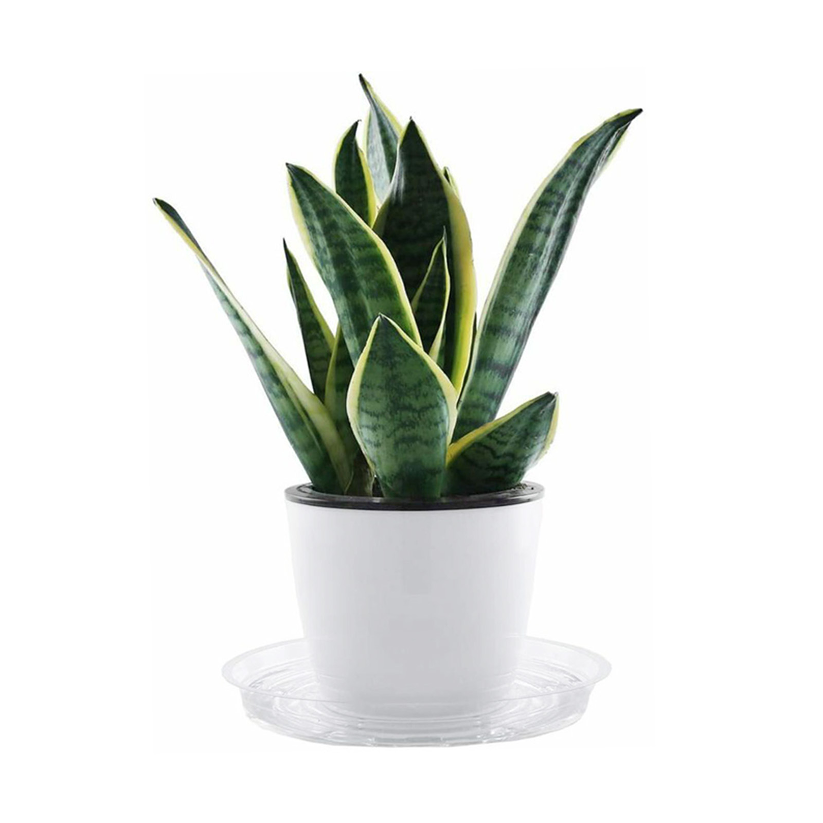10pc Garden Plant Saucer Drip  - Drip Tray Saucer 리뷰 및 가격